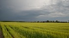 /pics/galeria/s_dsc_4125_800.jpg